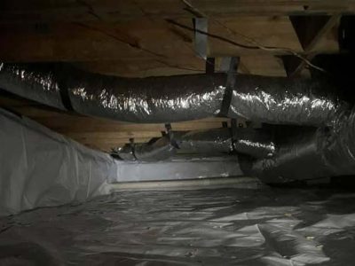Crawl Space Mold Control Services