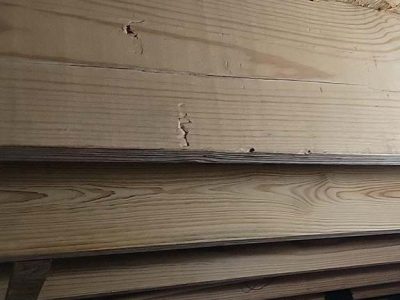 Home Mold Remediation Removal