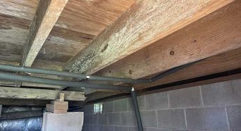Water Damage in the Basement: Essential Ways to Deal With It