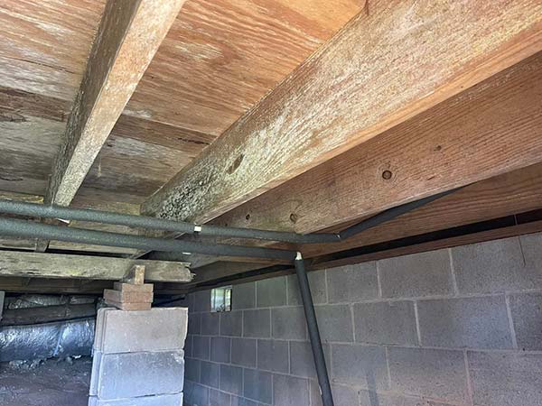 Gallery Before Home Mold Removal Services 1 1745074704 Jpg