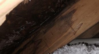 7 Telltale Signs Your House Has a Water Damage Problem